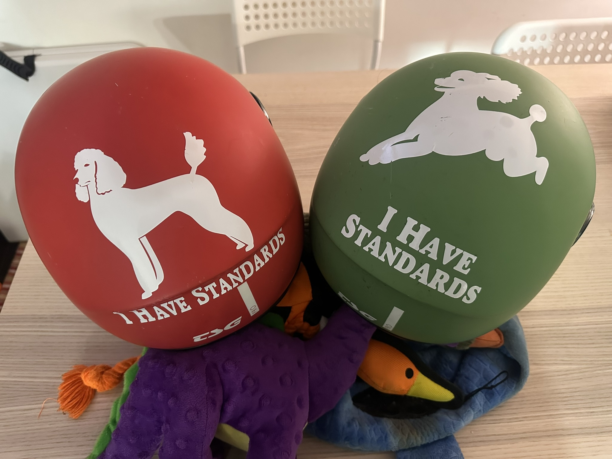 Two matching ebike helmet with decals of a poodle and the text: I have Standards.